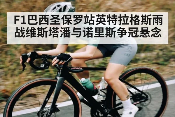 F1巴西圣保罗站英特拉格斯雨战维斯塔潘与诺里斯争冠悬念