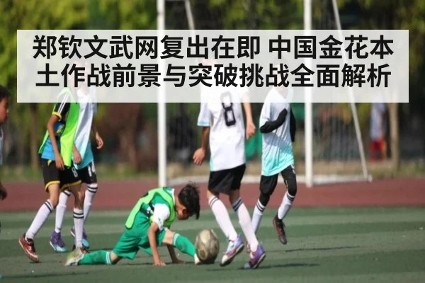 郑钦文武网复出在即 中国金花本土作战前景与突破挑战全面解析